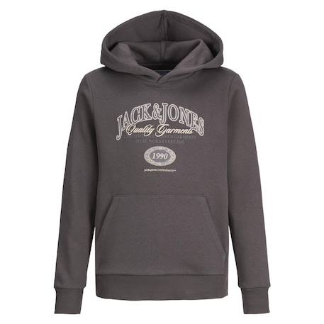 Sweat garçon à capuche aris Gris+Noir+Vert 2 - vertbaudet enfant 