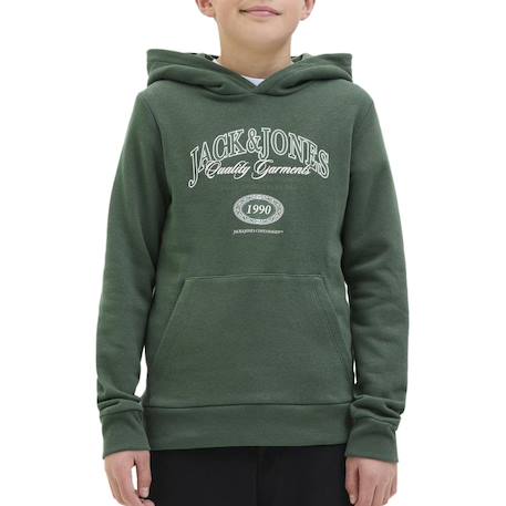 Sweat garçon à capuche aris Gris+Noir+Vert 5 - vertbaudet enfant 