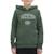 Sweat garçon à capuche aris Gris+Noir+Vert 5 - vertbaudet enfant 