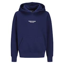 -Sweat à capuche vesterbro