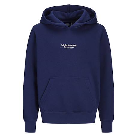 Sweat à capuche vesterbro Marine+Violet 1 - vertbaudet enfant 
