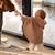 Poncho de voyage -  pady quilted - jersey Beige+Brick+Green+Stone 3 - vertbaudet enfant 