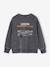 Sweat garçon col rond gris ardoise 4 - vertbaudet enfant 