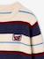 Pull garçon manches longues marine+noisette 5 - vertbaudet enfant 