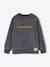 Sweat garçon col rond gris ardoise 2 - vertbaudet enfant 