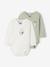 Lot de 2 bodies naissance Miffy manches longues vert d'eau 1 - vertbaudet enfant 