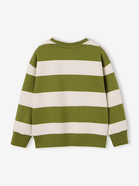 Sweat garçon col rond marine+noisette+pistache 14 - vertbaudet enfant 