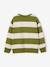 Sweat garçon col rond marine+noisette+pistache 14 - vertbaudet enfant 