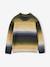 Pull garçon col rond écru 1 - vertbaudet enfant 