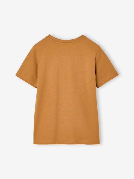 Lot 3 T-shirt manches courtes bleu pétrole+caramel+marine+noix de pécan+vert amande+vert sauge 29 - vertbaudet enfant 