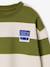 Sweat garçon col rond marine+noisette+pistache 15 - vertbaudet enfant 