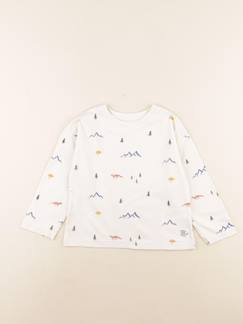 Seconde main-Garçon-Tee-shirt - 4 ans