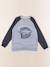 Sweat - 10 ans Bleu 1 - vertbaudet enfant 