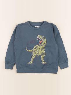 Seconde main-Garçon-Sweat - 5 ans
