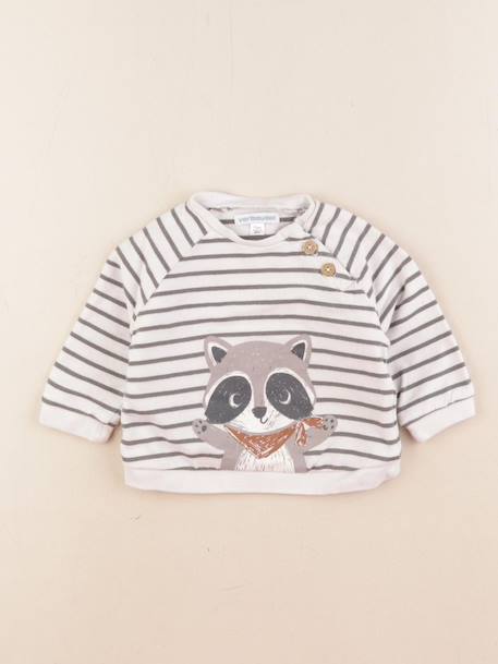 Sweat - 9 mois Multicolore 1 - vertbaudet enfant 