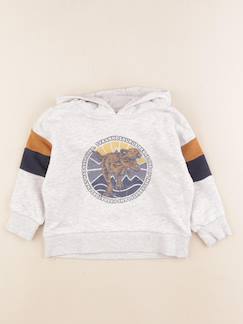 Seconde main-Garçon-Sweat - 3 ans