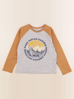 Seconde main-Garçon-Tee-shirt - 5 ans