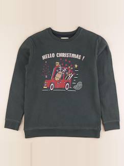 Seconde main-Garçon-Sweat - 12 ans