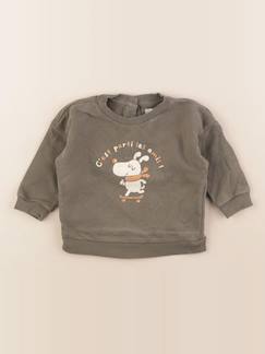 Seconde main-Garçon-Sweat - 9 mois