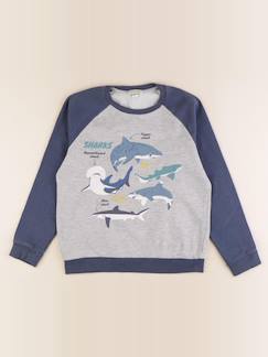 Seconde main-Garçon-Sweat - 10 ans
