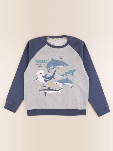 Sweat - 10 ans Multicolore 1 - vertbaudet enfant 