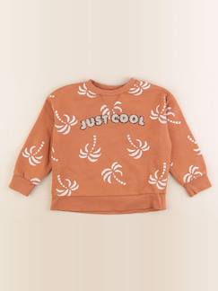 Seconde main-Garçon-Sweat - 4 ans