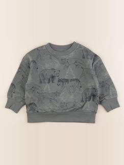 Seconde main-Garçon-Sweat - 3 ans