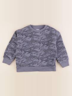 Seconde main-Garçon-Sweat - 5 ans