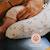Petit coussin d’allaitement softy Cloudy kaki+Pêche 11 - vertbaudet enfant 