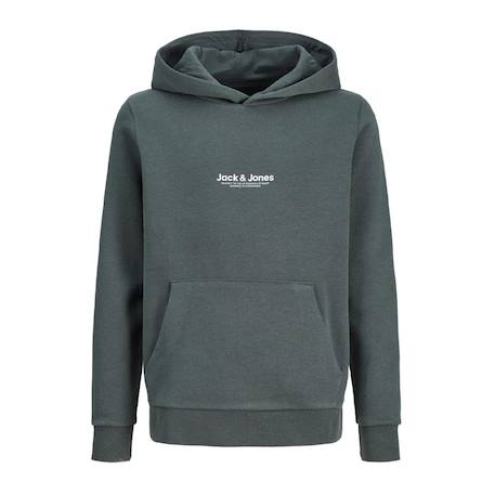 Sweat garçon à capuche vesterbro Beige+Bleu+Gris+Noir 5 - vertbaudet enfant 