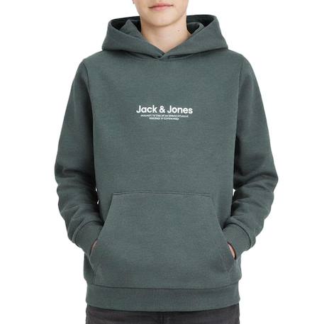 Sweat garçon à capuche vesterbro Beige+Bleu+Gris+Noir 4 - vertbaudet enfant 