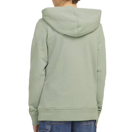 Sweat garçon à capuche colton Beige+Marine+Vert 6 - vertbaudet enfant 