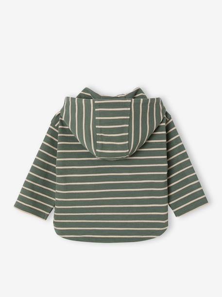 T-shirt à capuche bébé bleu glacier+sable+tomette+vert 22 - vertbaudet enfant 