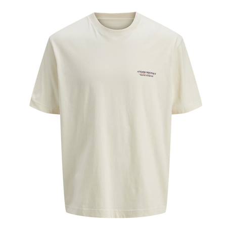 T-shirt garçon manches courtes slington Beige+Noir 1 - vertbaudet enfant 