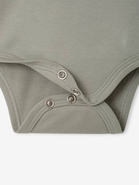 Lot de 2 bodies naissance manches longues cappuccino+rose pâle+vert sauge 21 - vertbaudet enfant 