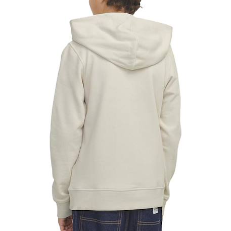 Sweat garçon à capuche colton Beige+Marine+Vert 2 - vertbaudet enfant 