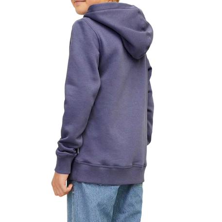 Sweat garçon à capuche jorfre Bleu 2 - vertbaudet enfant 