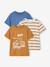 Lot 3 T-shirts manches courtes caramel+marine+noix de pécan+vert sauge 17 - vertbaudet enfant 