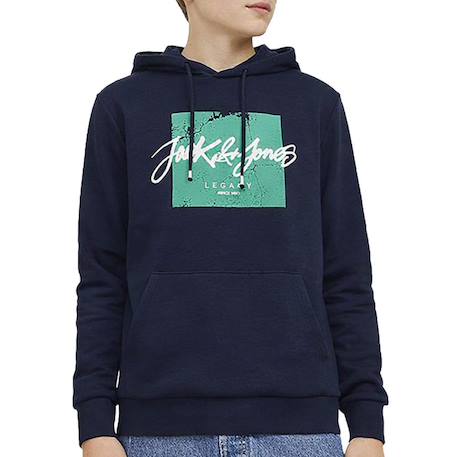 Garçon-Pull, gilet, sweat-Sweat garçon à capuche whtiley