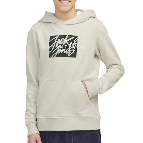 Sweat garçon à capuche colton  - vertbaudet enfant