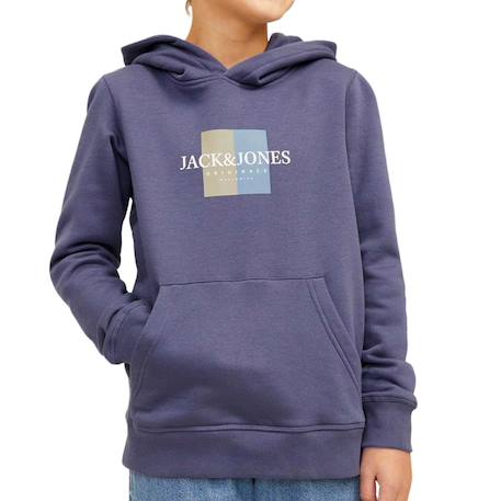 Sweat garçon à capuche jorfre Bleu 1 - vertbaudet enfant 