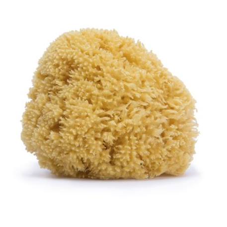 Éponge en fibre naturelle Jaune 2 - vertbaudet enfant 