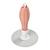 Egoutte biberons pliable compact et nomade capacité 8 biberons Gris+Rose+Terre argile 9 - vertbaudet enfant 