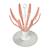 Egoutte biberons pliable compact et nomade capacité 8 biberons Gris+Rose+Terre argile 7 - vertbaudet enfant 