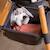 Accessoire panier pour chaise haute Anthracite+Noir 2 - vertbaudet enfant 