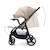 Poussette TRIG 3 TR avec plateau click & fold, assise allongée 91,5 cm, roues pivotantes 360°, capote déperlante Beige+Gris+Marron+Noir 4 - vertbaudet enfant 