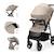 Poussette TRIG 3 TR avec plateau click & fold, assise allongée 91,5 cm, roues pivotantes 360°, capote déperlante Beige+Gris+Marron+Noir 5 - vertbaudet enfant 
