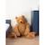 Peluche ours Teddy marron 6 - vertbaudet enfant 