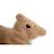 Doudou teddy Teddy marron 3 - vertbaudet enfant 