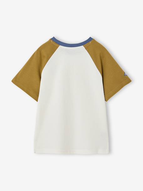 T-shirt manches courtes garçon kaki 4 - vertbaudet enfant 